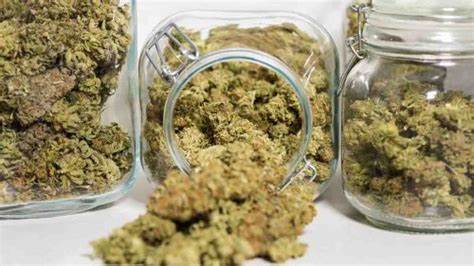 marijuana